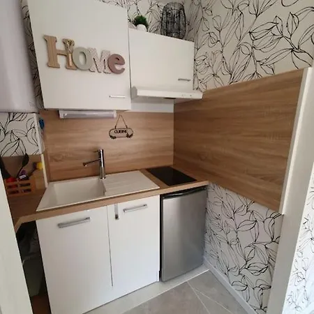 Apartament Appt Cosy Hypercentre 2-3p Agde