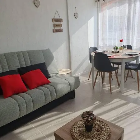 Appt Cosy Hypercentre 2-3p *