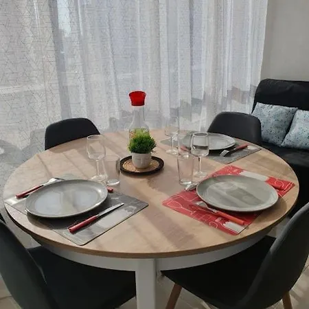 Apartament Appt Cosy Hypercentre 2-3p Agde