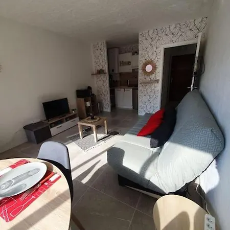 Apartament Appt Cosy Hypercentre 2-3p Agde