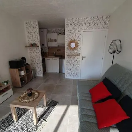 Appt Cosy Hypercentre 2-3p *
