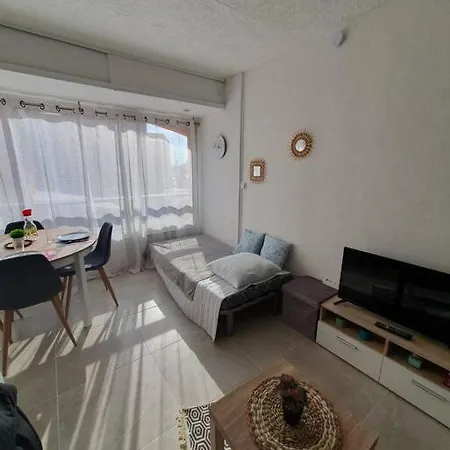 Apartament Appt Cosy Hypercentre 2-3p Agde
