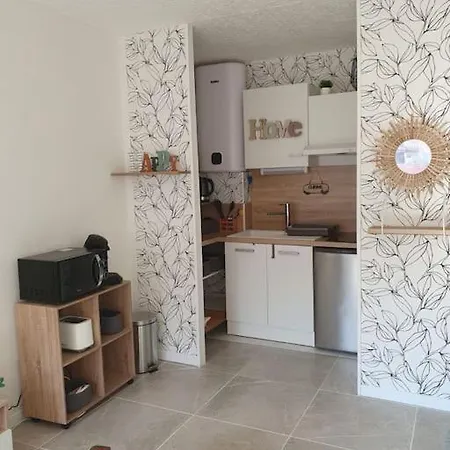 Appt Cosy Hypercentre 2-3p