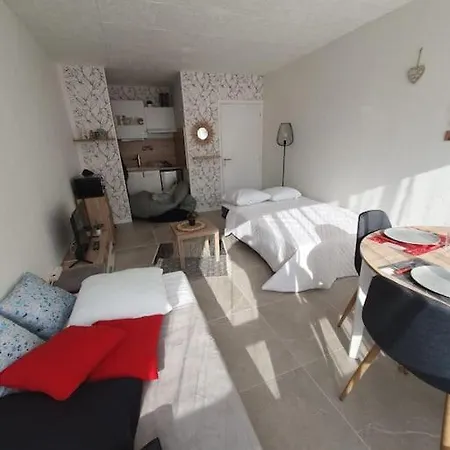 Apartament Appt Cosy Hypercentre 2-3p Agde