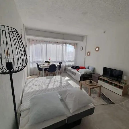 Appt Cosy Hypercentre 2-3p
