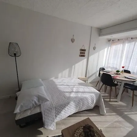 Appt Cosy Hypercentre 2-3p Apartament